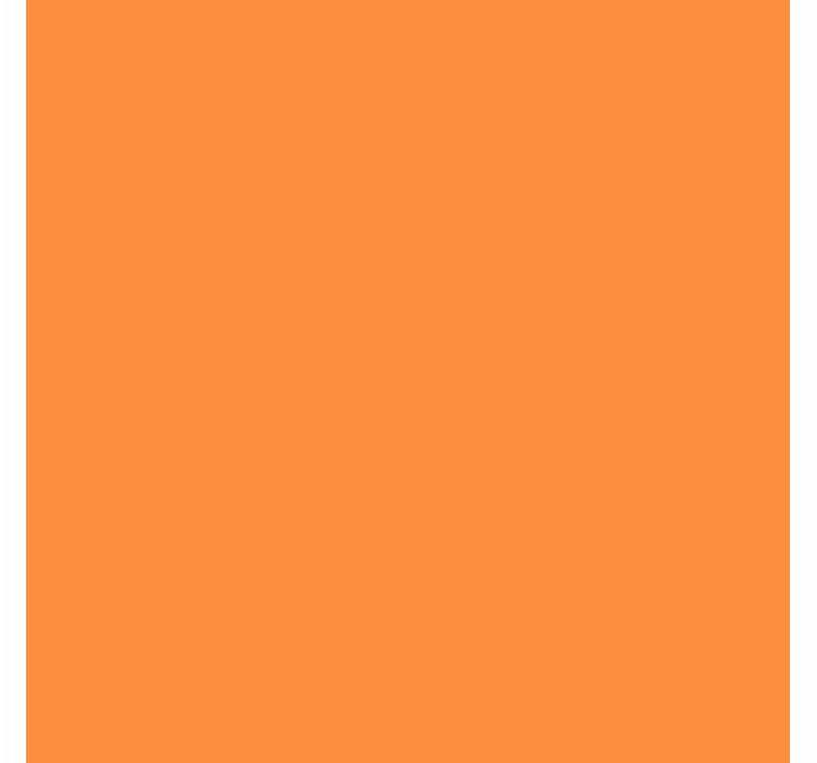 Rollo Fenster Küche orange einfarbig - TenStickers
