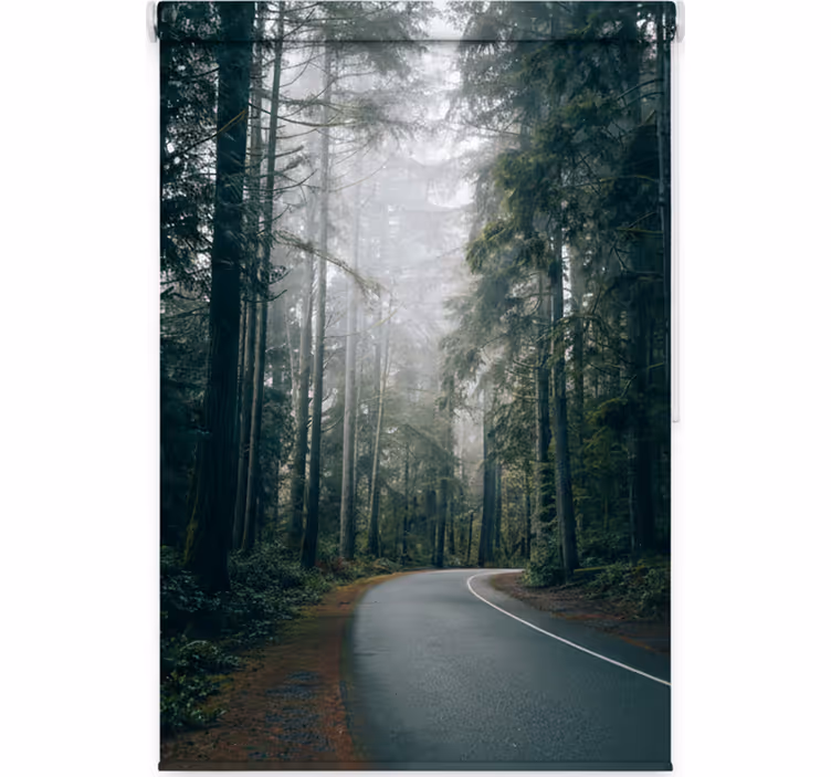 Rollo fenster baum nebeliger kiefernweg - TenStickers