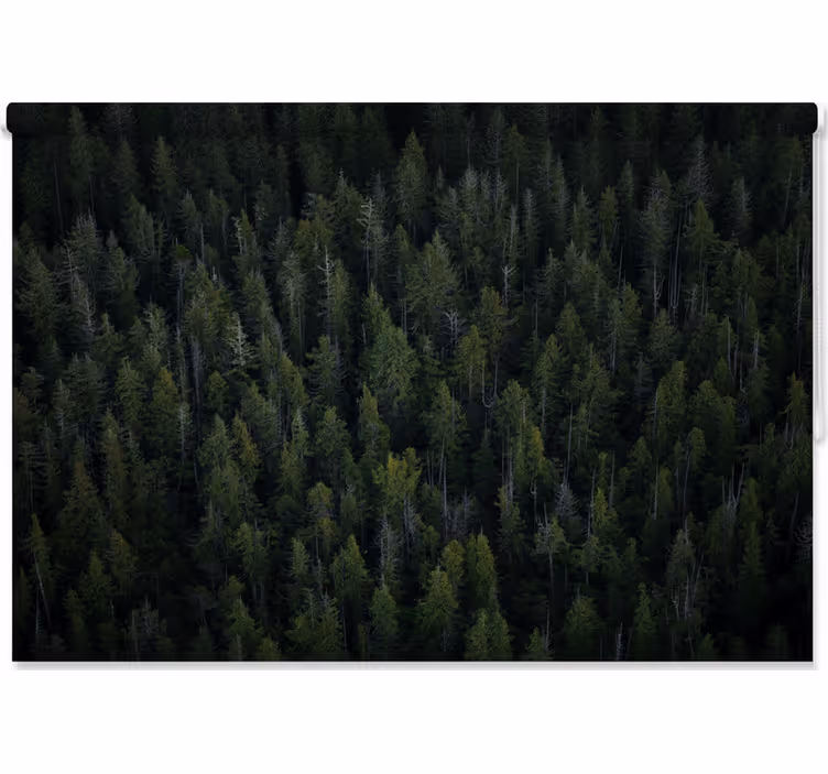 Rollo fenster baum mit tiefen waldtexturen - TenStickers