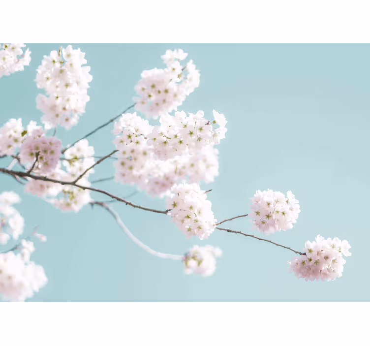 Rollo fenster küche elegantes und feminines blumendesign - TenStickers