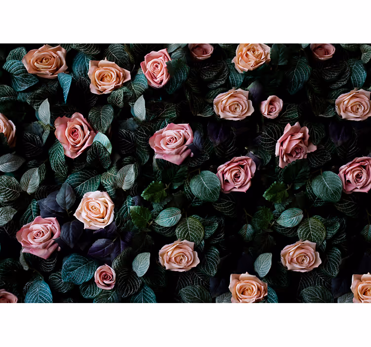 Rollo fenster küche mit rosa korallenrosen - TenStickers