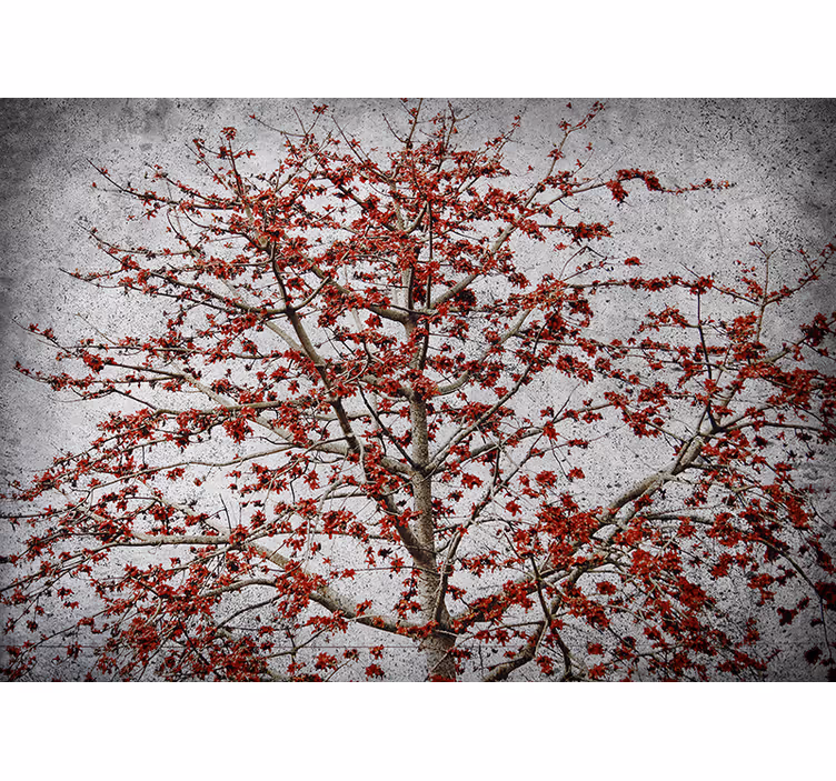 Rollo fenster küche minimalistischer baum mit roten blumen - TenStickers
