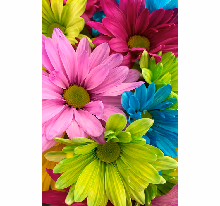 Rollo fenster wohnzimmer mit bunten blumen - TenStickers