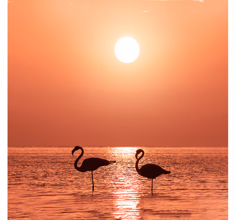 Rollo fenster wohnzimmer schöner flamingo im sonnenuntergang - TenStickers