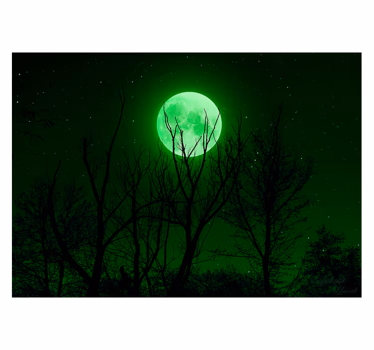 Rollo fenster schwarz grüner mond - TenStickers