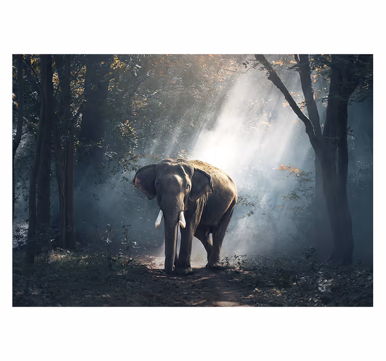Rollo fenster wohnzimmer elefant im wald - TenStickers