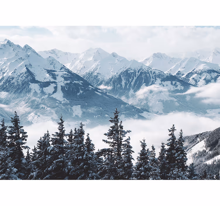 Rollo fenster wohnzimmer schneebedeckte berge und bäume - TenStickers