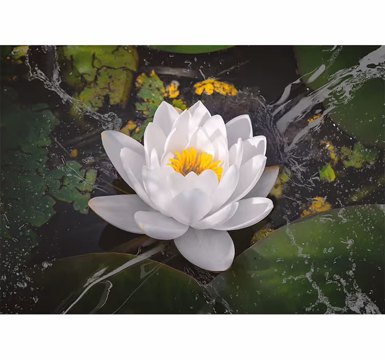 Rollo fenster wohnzimmer lotus in weiß und gelb - TenStickers