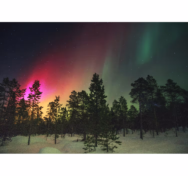 Rollo fenster wohnzimmer nordlichter über bäume - TenStickers