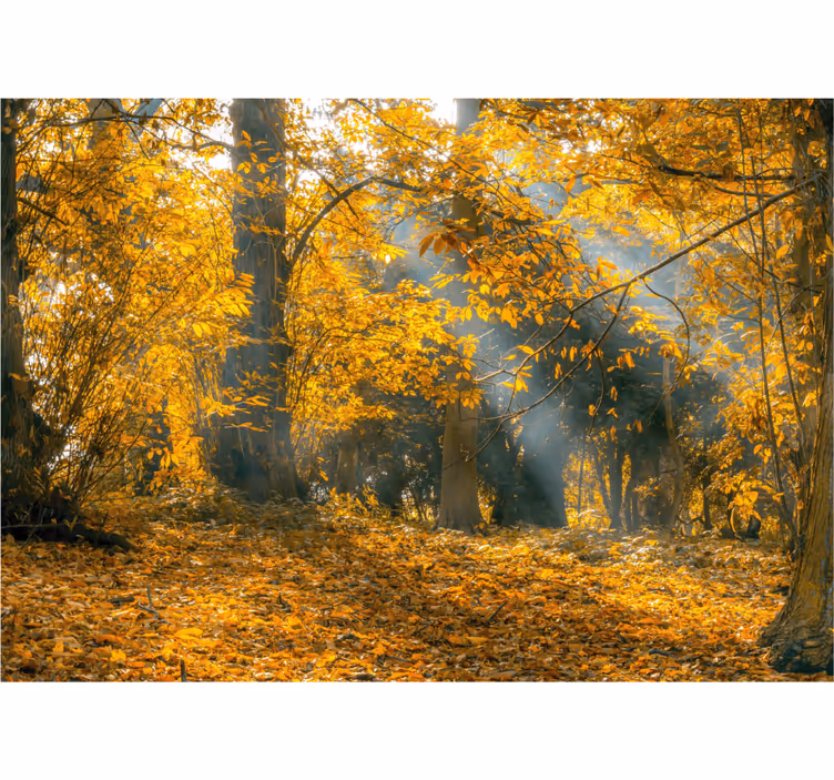 Rollo fenster wohnzimmer goldener herbst - TenStickers
