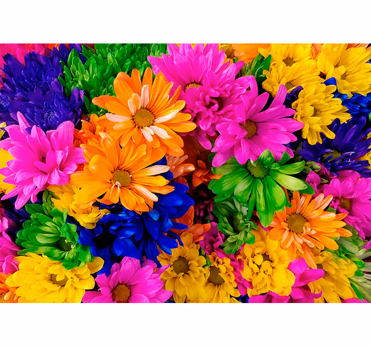 Rollo fenster wohnzimmer buntes chrysanthemenmuster - TenStickers