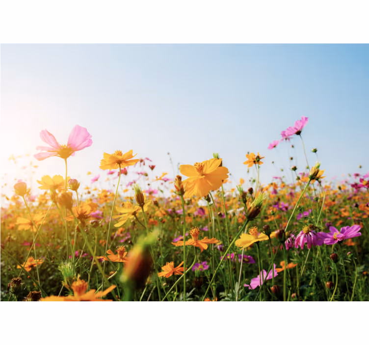 Rollo fenster wohnzimmer blumenmischung - TenStickers