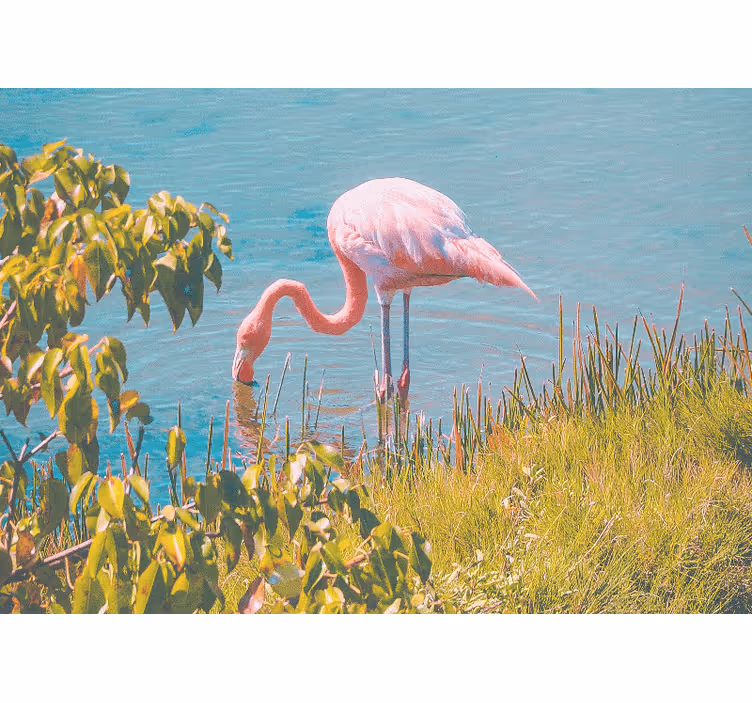 Rollo fenster wohnzimmer mit schönem flamingo am wasser - TenStickers