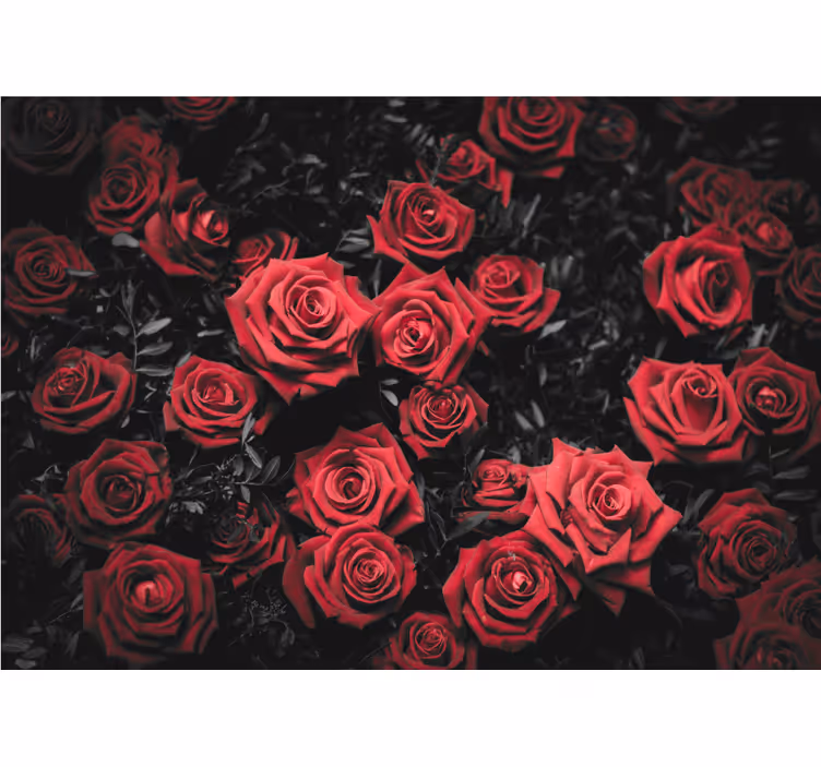 Rollo fenster wohnzimmer schwarz weiß mit roten rosen - TenStickers