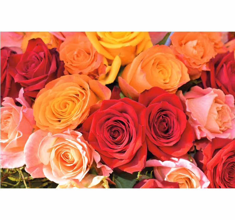 Rollo fenster wohnzimmer mit verschiedenen blumen - TenStickers