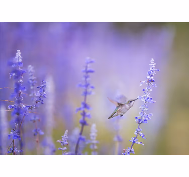 Rollo fenster wohnzimmer blumen mit vogel - TenStickers