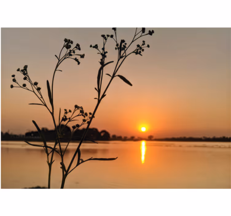 Rollo fenster wohnzimmer sonnenuntergang am see - TenStickers