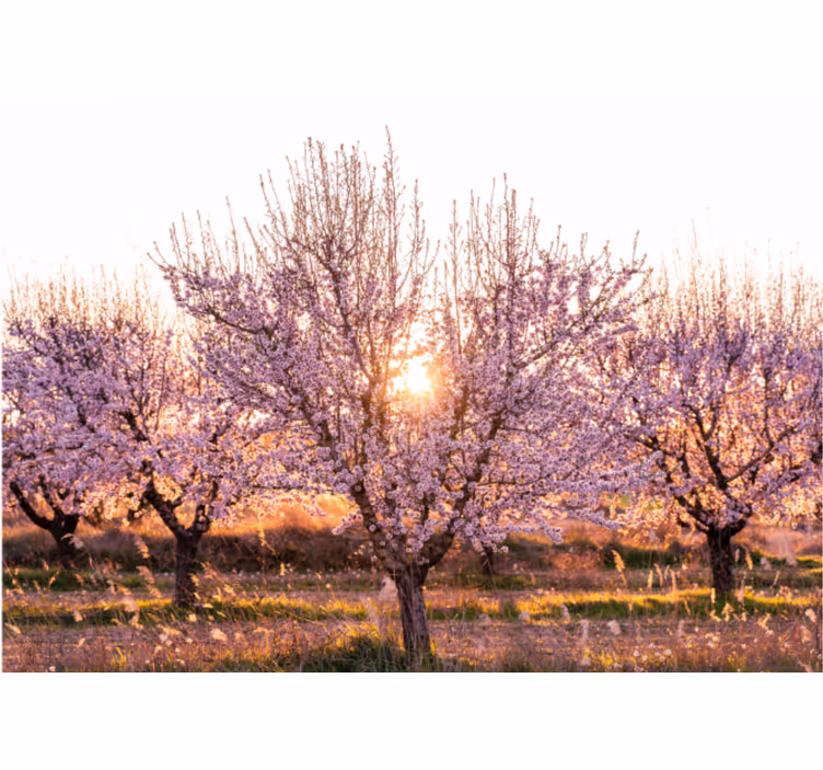 Rollo fenster wohnzimmer pinkes blumenlandschap - TenStickers
