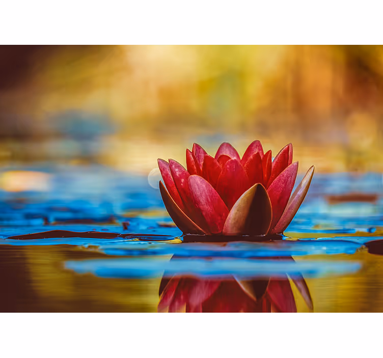 Rollo fenster wohnzimmer zen reflektierte lotusblume - TenStickers