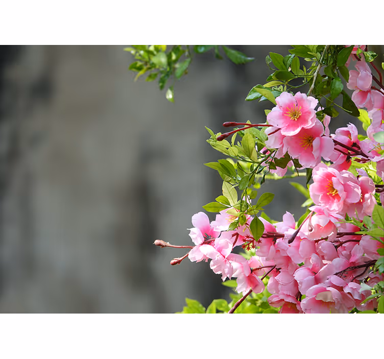 Rollo fenster wohnzimmer 3d pinke blumen - TenStickers