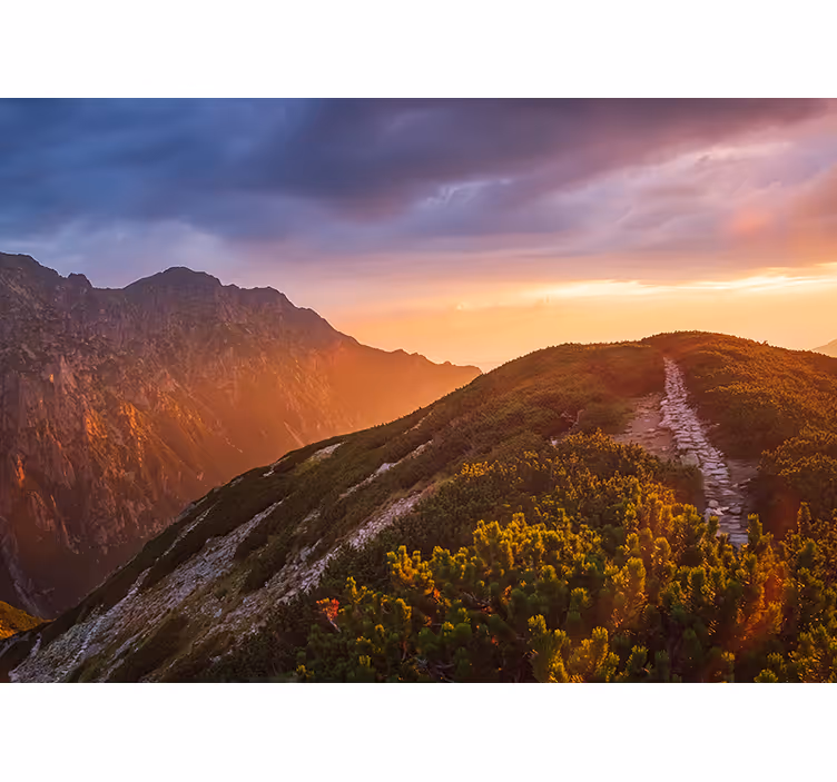 Rollo fenster wohnzimmer zakopane nachtgebirge - TenStickers