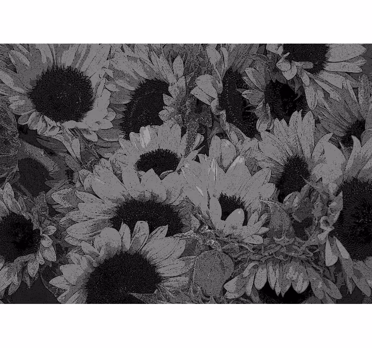 Rollo fenster wohnzimmer sonnenblume schwarz weiß - TenStickers