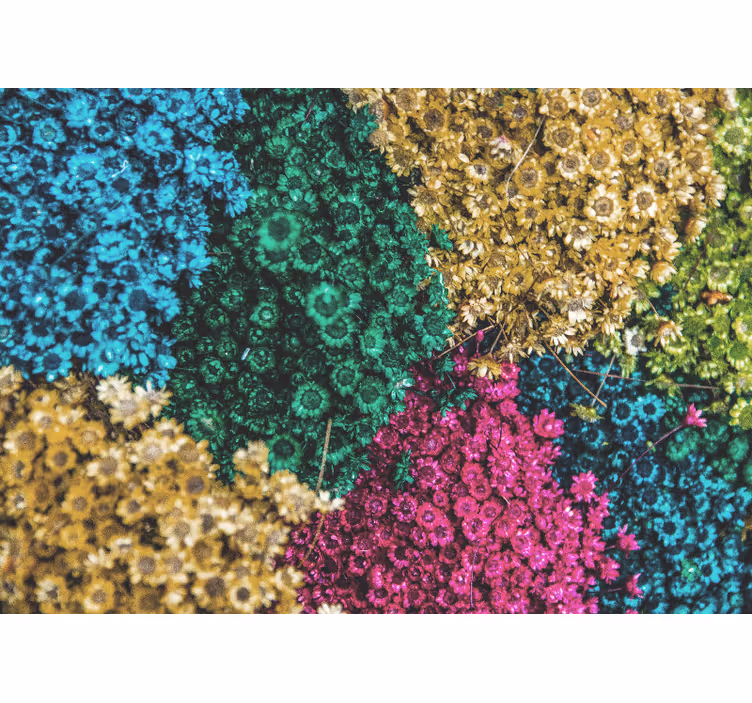 Rollo fenster wohnzimmer mit regenbogen-gänseblümchen - TenStickers