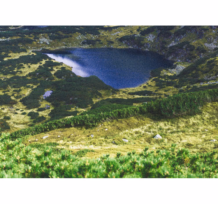 Rollo fenster wohnzimmer in grün polnische tatra - TenStickers