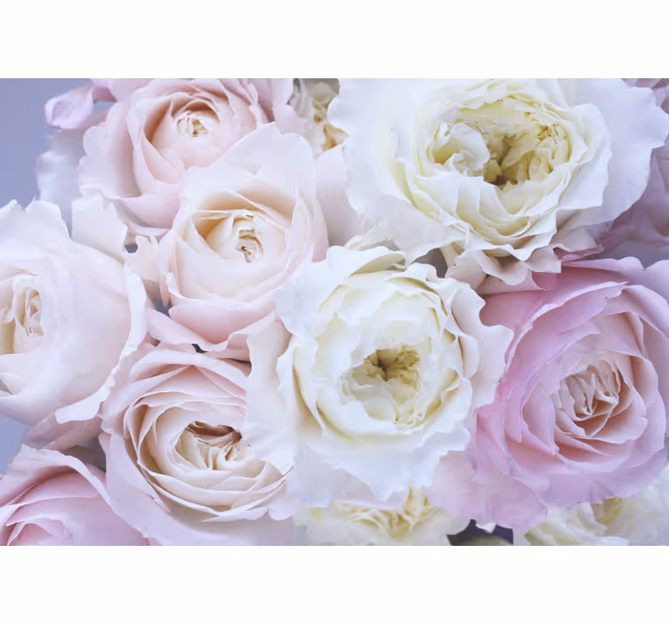Rollo fenster wohnzimmer verschiedene rosen nahaufnahme - TenStickers