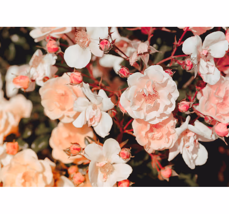 Rollo fenster wohnzimmer mit vielen blumen - TenStickers