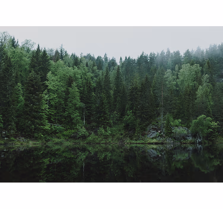 Rollo fenster wohnzimmer ein wald am see - TenStickers