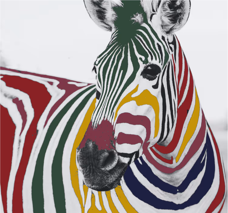 Rollo fenster wohnzimmer mit buntem zebra kunstwerk - TenStickers