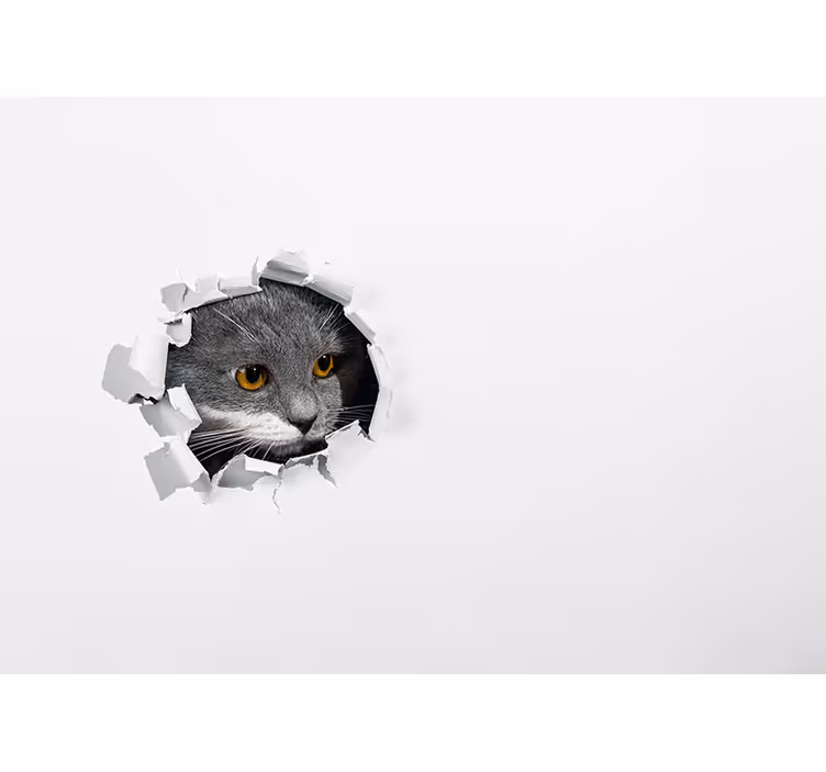 Rollo fenster weiß mit niedlicher katze - TenStickers