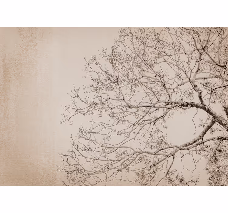 Rollo fenster beige im japandi blumenstil - TenStickers