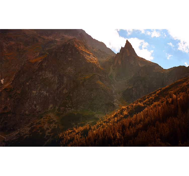 Rollo fenster schlafzimmer mit polnischer tatra landschaft - TenStickers