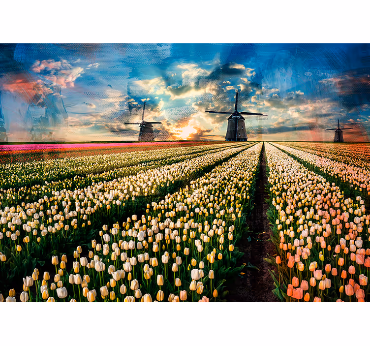 Rollo fenster schlafzimmer mit holland-tulpen - TenStickers