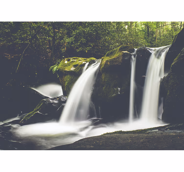 Rollo fenster schlafzimmer wald natur wasserfall - TenStickers