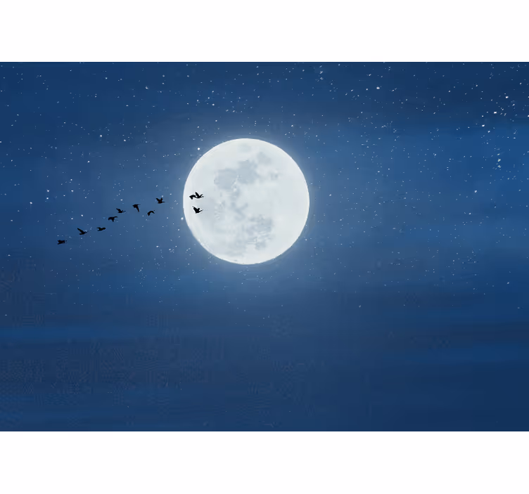 Rollo fenster wohnzimmer vollmond und himmel - TenStickers