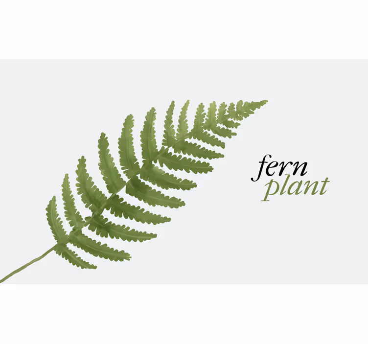 Rollo fenster schlafzimmer fern pflanzen vinylteppich 1 - TenStickers