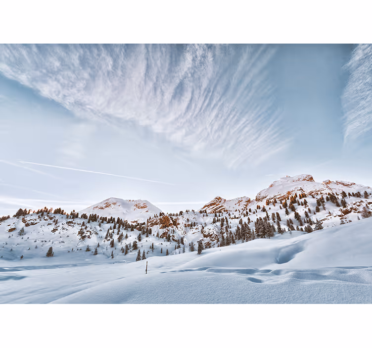 Rollo fenster weiß schneebedeckte berge - TenStickers