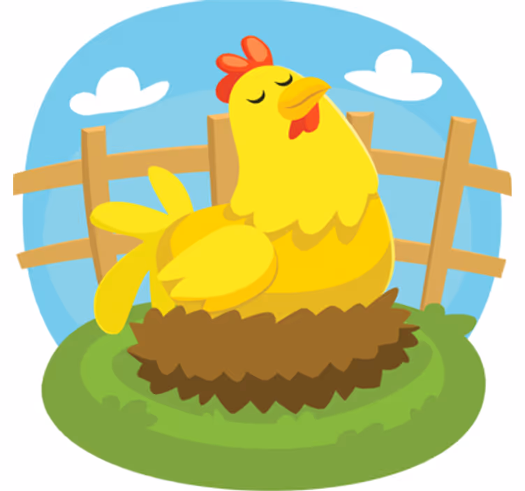Rollo fenster kinderzimmer legehenne - TenStickers