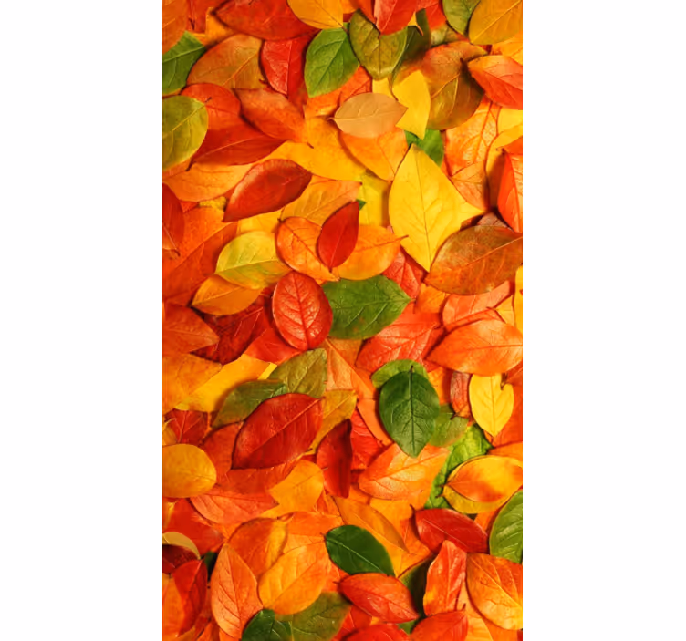 Rollo fenster küche mit herbstlichen blattmotiven - TenStickers
