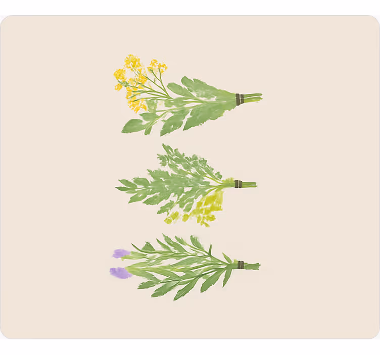 Rollo fenster küche elegante einfache blumen - TenStickers