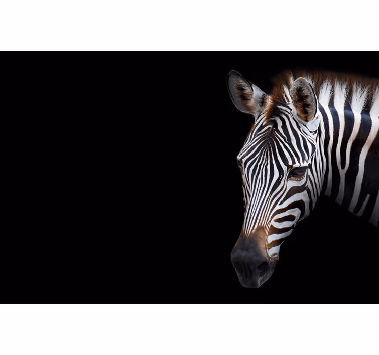 Rollo fenster schwarz zebra muster - TenStickers