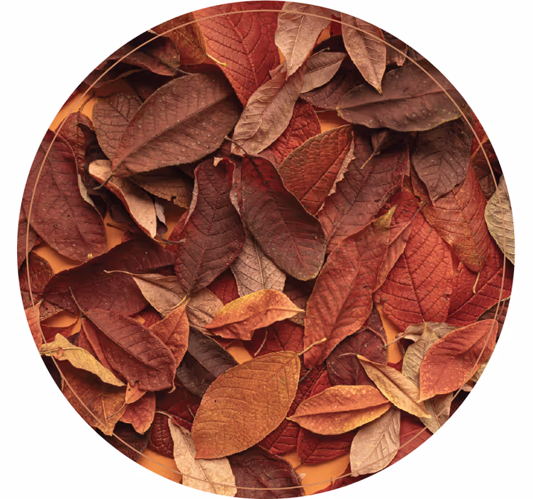 Rollo fenster schlafzimmer herbstlich dunkler boden - TenStickers