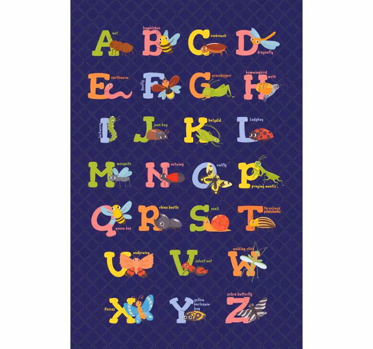 Rollo fenster kinderzimmer mit englischem abc - TenStickers