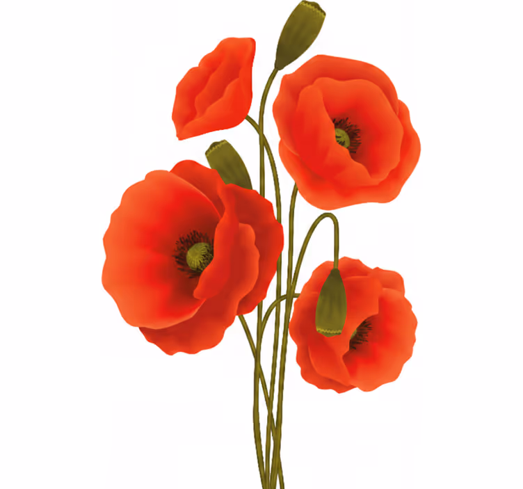 Rollo fenster blumen mohnblumen - TenStickers