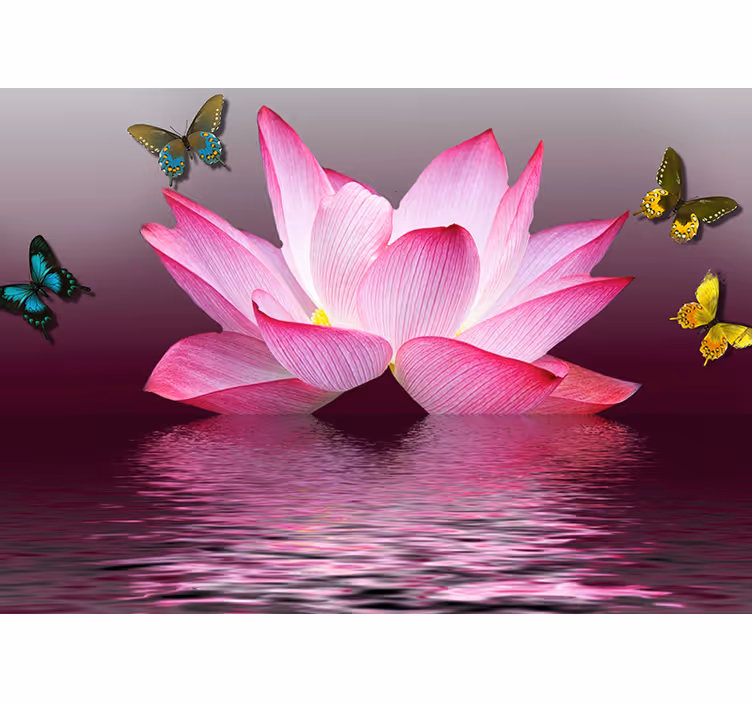 Rollo fenster zen pinker lotos mit schmetterlingen - TenStickers