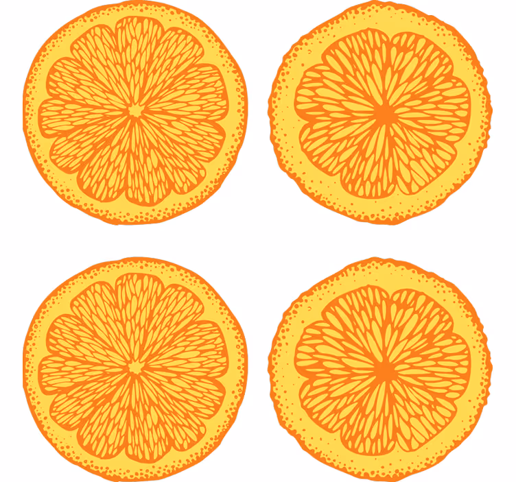 Rollo fenster orange mit handgezeichneten orangenstickern - TenStickers