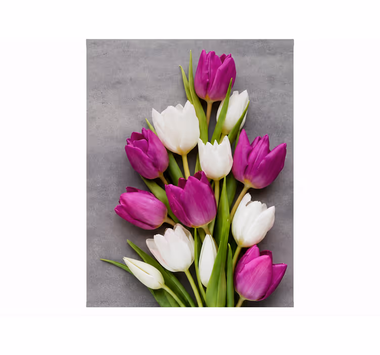 Rollo fenster lila echte tulpen - TenStickers